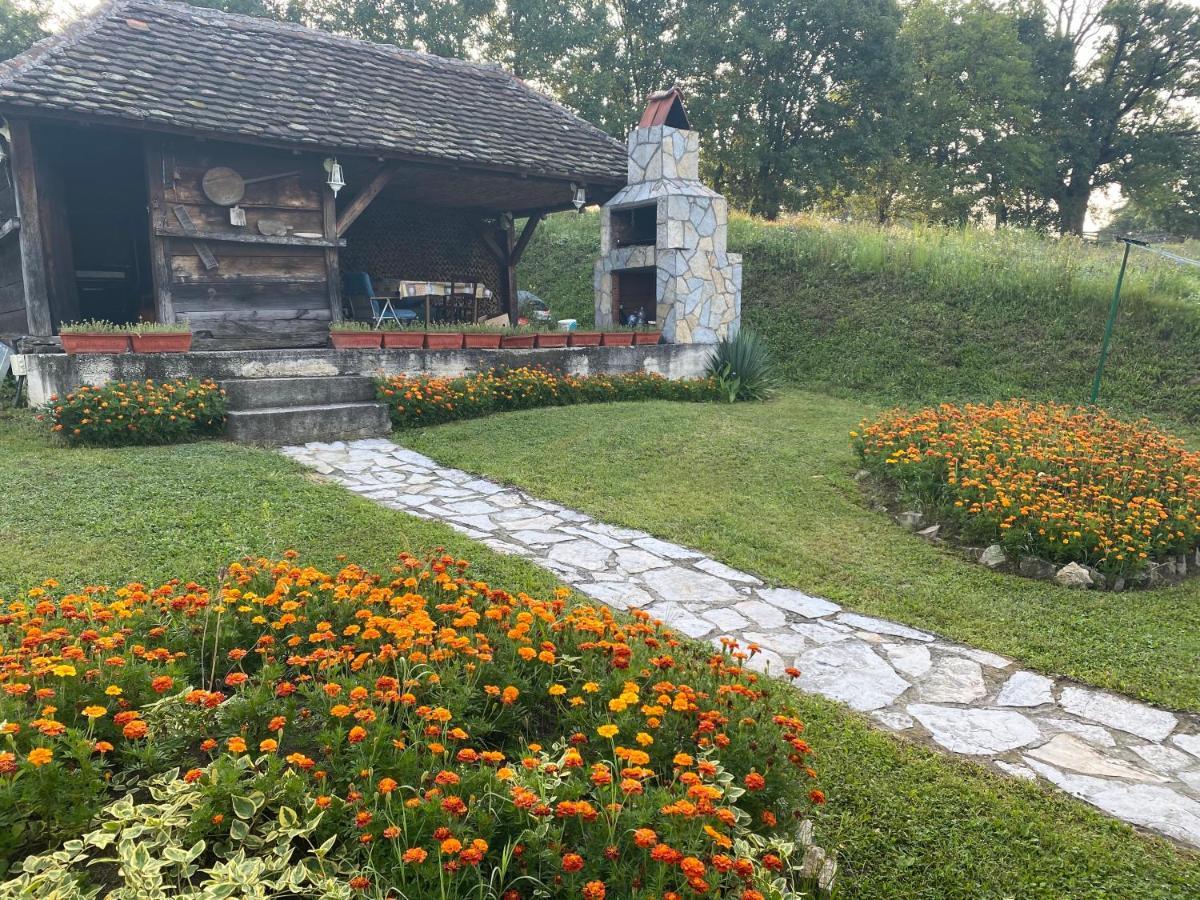 Holiday Home Rodjak Sa Sela Mionica Extérieur photo