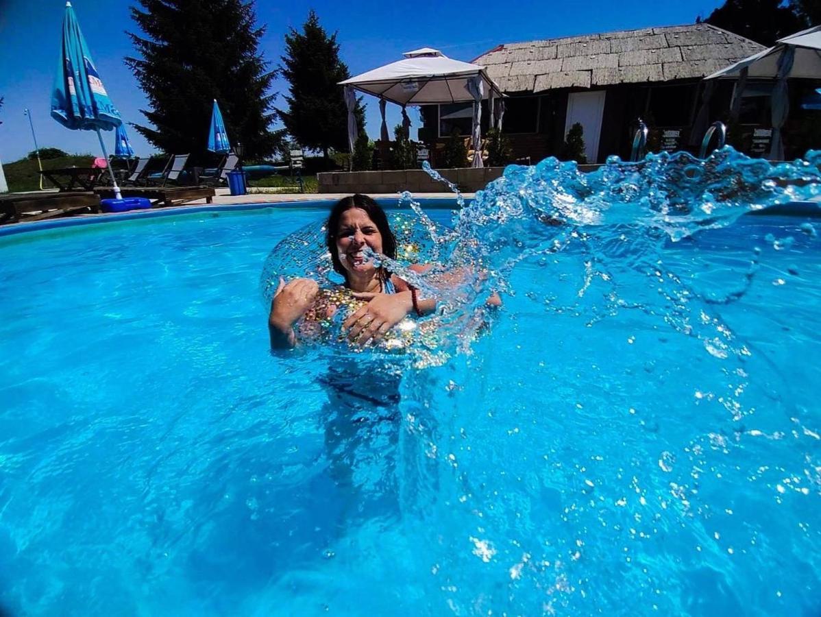 Holiday Home Rodjak Sa Sela Mionica Extérieur photo
