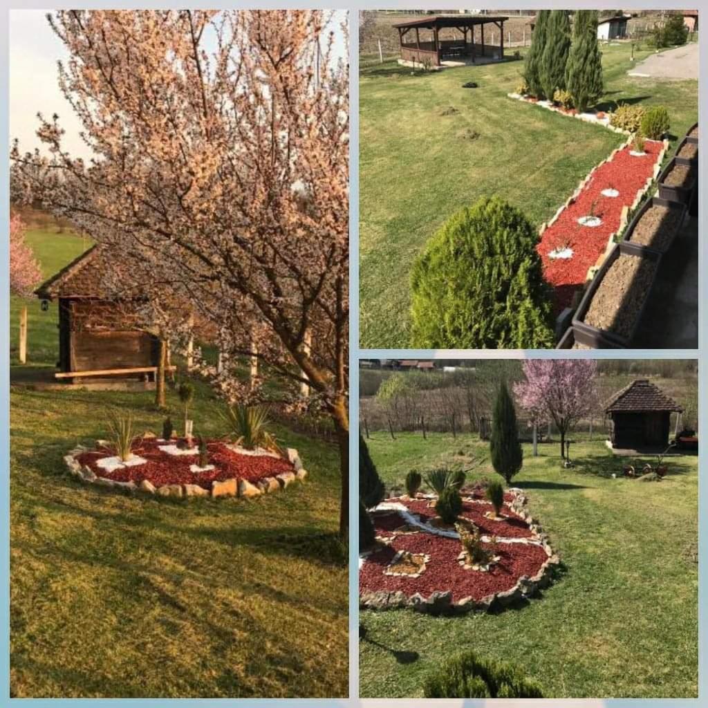 Holiday Home Rodjak Sa Sela Mionica Extérieur photo