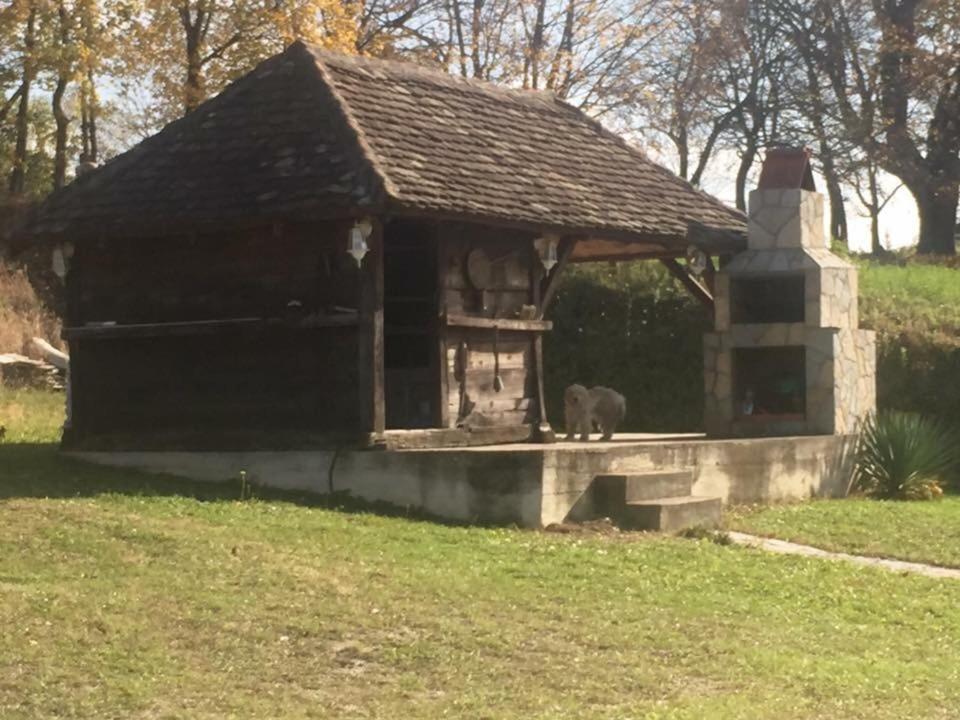 Holiday Home Rodjak Sa Sela Mionica Extérieur photo
